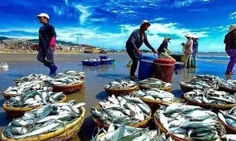 Cơ hội bứt phá xuất khẩu thủy sản 2026