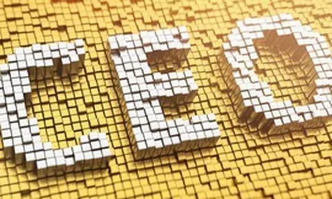 Phê duyệt Chương trình đào tạo, bồi dưỡng 10.000 giám đốc điều hành