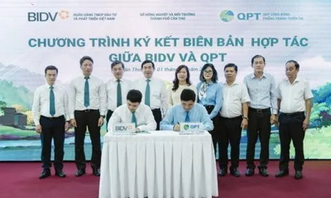 BIDV và QPT hợp tác trồng 240.000 cây xanh tại Đồng bằng sông Cửu Long
