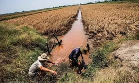 Gia tăng xâm nhập mặn tại Đồng bằng sông Cửu Long