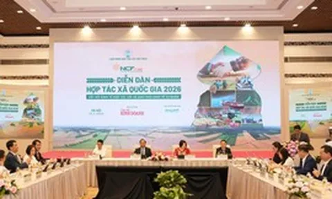 Kết nối hợp tác xã với kinh tế tư nhân: Tạo động lực phát triển mới