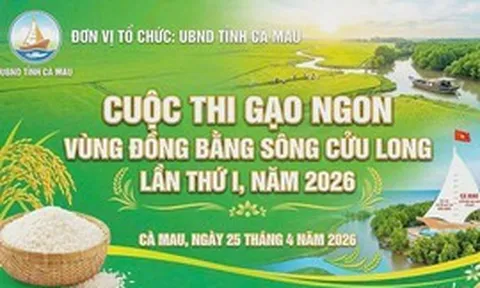Cà Mau tổ chức Cuộc thi Gạo ngon vùng ĐBSCL lần thứ I năm 2026