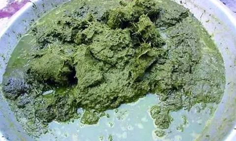 Món ăn "kinh dị nhất thế giới": Lẩu phân bò nặng mùi, thử một lần là nhớ đời