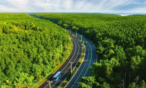 5.000 runners đếm ngược tới ngày “detox phổi” tại “mỏ oxy khổng lồ” của TP.HCM