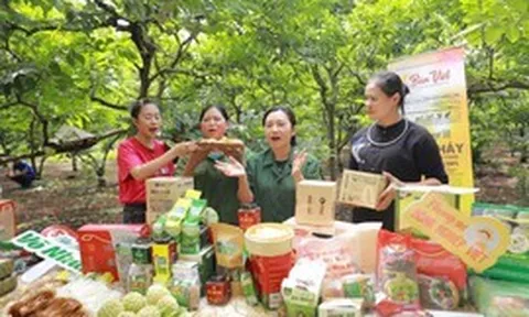 Đưa nông sản lên sàn thương mại điện tử: Hướng đi chiến lược cho kinh tế số nông nghiệp Live