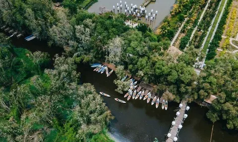 Trà Sư: Bản giao hưởng diệp lục giữa miền Tây huyền tích