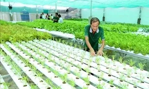 'Hàng rào xanh' của EU: Cần sự thay đổi tư duy của doanh nghiệp