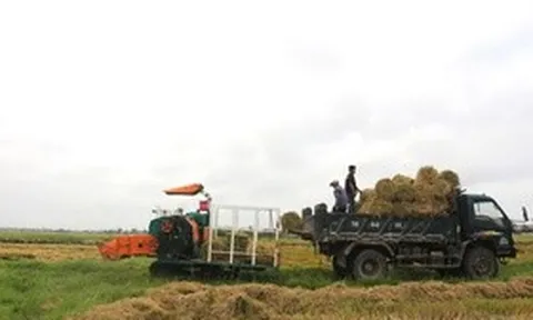 Cách giúp nông dân không phải vất vả xử lý rơm rạ mà vẫn có thu nhập