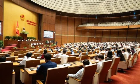 Bổ sung 4 luật thuế trình Quốc hội xem xét, thông qua tại Kỳ họp thứ Nhất