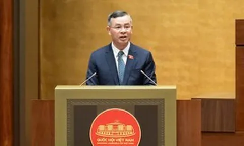 Đề xuất không quy định cứng ngưỡng doanh thu chịu thuế với hộ, cá nhân kinh doanh để tăng tính linh hoạt