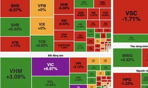 VN-Index bật tăng gần 24 điểm nhờ lực kéo trụ