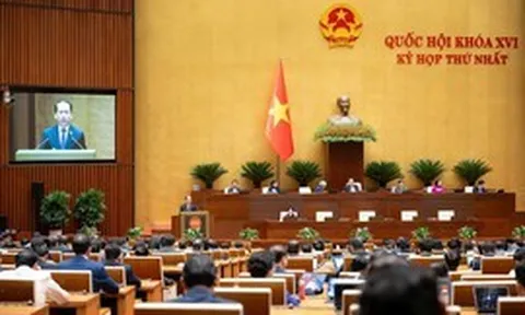 Thí điểm chế định luật sư công tại 8 bộ và 10 địa phương  trong 2 năm