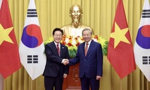 Từ hạt giống cách đây 800 năm đến cuộc hội ngộ của quan hệ Việt - Hàn