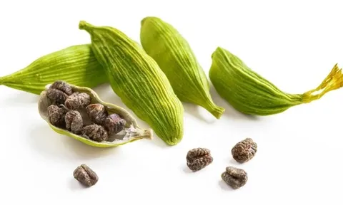 Loại hạt "đắt đỏ bậc nhất thế giới", chỉ hơn 10 nước trồng được, Việt Nam cũng có