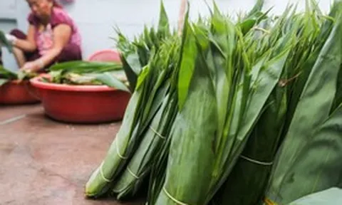 2 thứ bỏ đi ở Việt Nam, trời Tây có giá đắt đỏ, nhất cái số 1 ở quê rụng đầy vườn