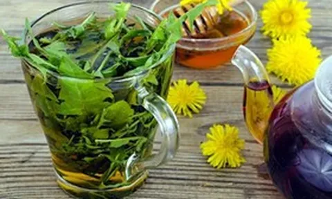 Loài cây mọc đầy vườn ở Việt Nam: Bị thờ ơ, coi là cỏ dại nhưng thế giới lại săn lùng như “thần dược”