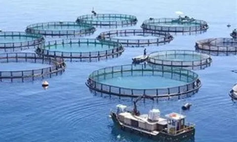 Khoa học, đổi mới sáng tạo là nền tảng để thủy sản vượt giới hạn cũ