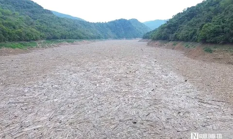 Hồ thuỷ điện lớn nhất Bắc Trung Bộ "ngộp thở" vì lượng rác khổng lồ vây kín