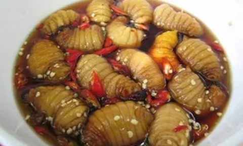 Món đặc sản nhìn tưởng “kinh dị”, giá 500.000 đồng/kg vẫn có người mua
