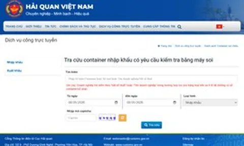 Hải quan hướng dẫn tra cứu container nhập khẩu có yêu cầu kiểm tra bằng máy soi