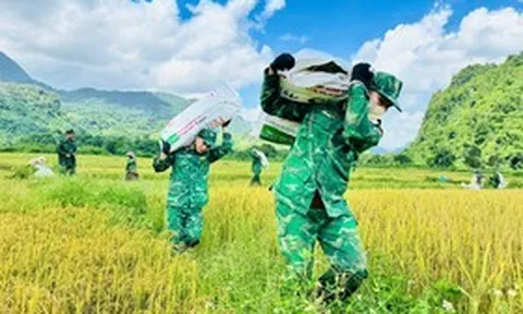 Ảnh: Thấm đẫm tình quân dân trên cánh đồng biên giới