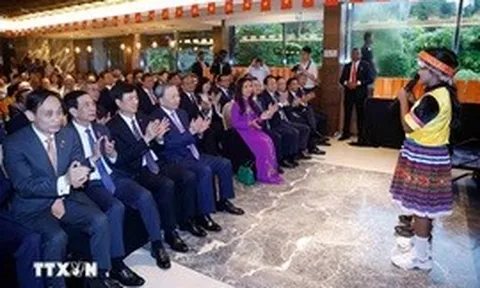 Tổng Bí thư, Chủ tịch nước Tô Lâm gặp gỡ cán bộ các cơ quan đại diện và cộng đồng người Việt Nam tại Sri Lanka