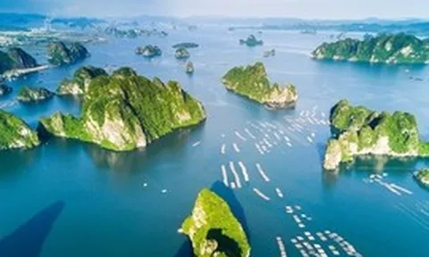 Kết nối liên thông dữ liệu tài nguyên biển