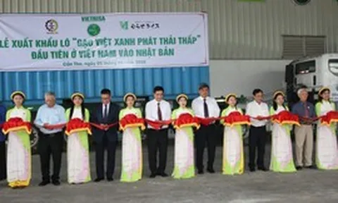 Gắn 'hộ chiếu xanh' cho thương hiệu gạo Việt phát thải thấp