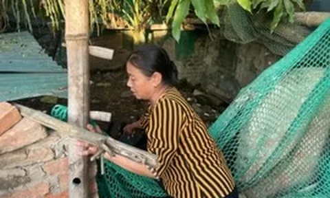 Kết thúc hoạt động và giải thể Quỹ Hỗ trợ Phụ nữ nghèo