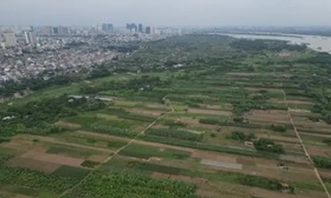 Bộ Nông nghiệp và Môi trường yêu cầu đăng tải công khai vi phạm đất đai