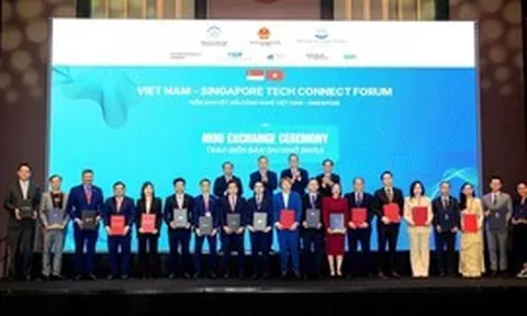 Trường Đại học Văn Lang và Đại học Quốc gia Singapore ký kết hợp tác