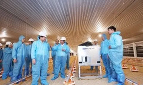Dự án DHN Tây Ninh 2 - động lực mới cho ngành chăn nuôi công nghệ cao
