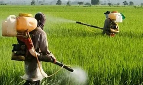 Chuyển mạnh từ 'tiền kiểm' sang 'hậu kiểm', tạo đà cho xuất khẩu nông sản