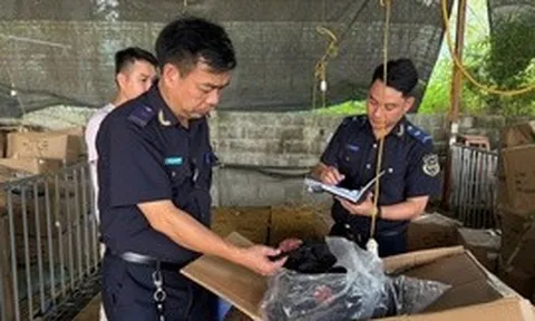 Hải quan quyết liệt chống buôn lậu, hàng giả và ma túy