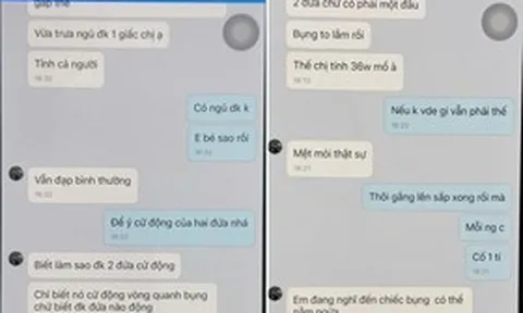 Khởi tố đối tượng cầm đầu đường dây mang thai hộ, mua bán trứng người