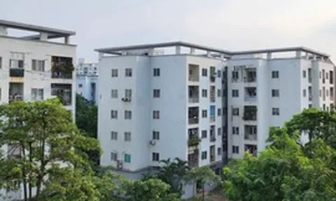 Nhà ở cho thuê: Kiến tạo để đột phá