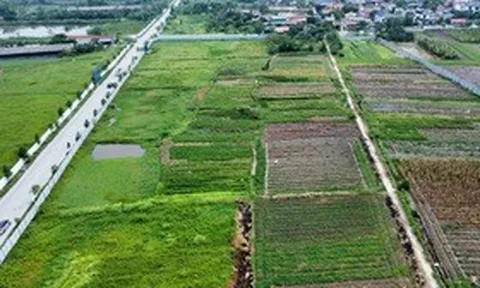 Khu đô thị 1.500 tỷ đồng do RIG Group làm chủ đầu tư tại Thanh Hoá vẫn bãi đất trống sau 4 năm