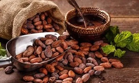 THỊ TRƯỜNG HÀNG HÓA: Giá ca cao tăng vọt hơn 9% bất chấp áp lực điều chỉnh trên nhiều mặt hàng