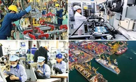 Ban hành Hệ thống ngành sản phẩm Việt Nam