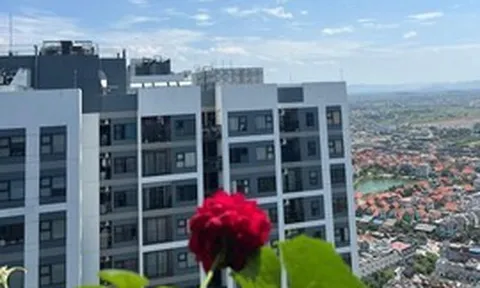 Cấp bách sửa đổi Luật Nhà ở, Luật Kinh doanh bất động sản