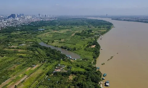 Hà Nội cho phép khai thác quỹ đất nông nghiệp bãi sông, bãi nổi