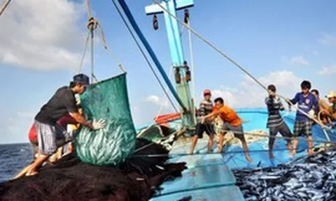 Ngành Thủy sản cần bứt phá để chinh phục mục tiêu xuất khẩu