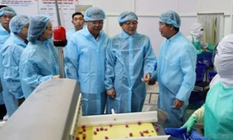 Xây dựng chuỗi liên kết bền vững, nâng cao giá trị nông sản và thủy sản Việt Nam