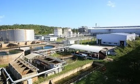 Xây dựng hệ sinh thái Ethanol để phát triển bền vững xăng E10