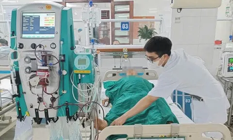 Người đàn ông 68 tuổi suýt mất mạng vì ăn mật cá trắm