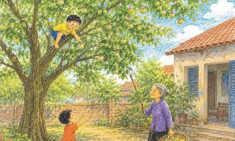 Bà phù thủy có cây vú sữa