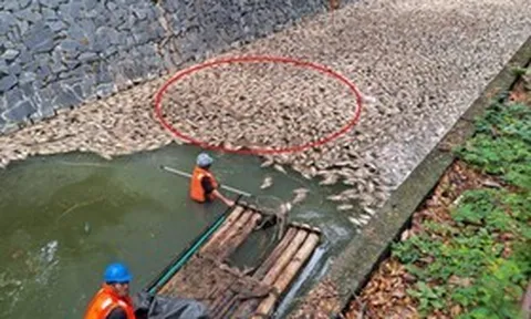 Người dân bàng hoàng khi chứng kiến cảnh tượng "nổi da gà" trên kênh