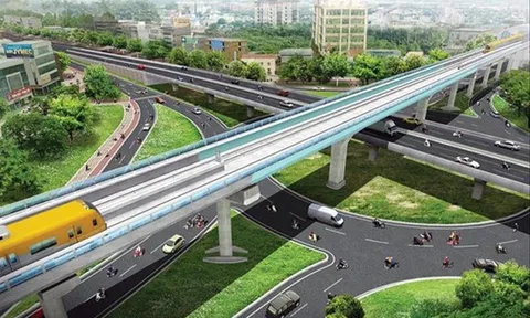 Ưu tiên tối đa việc bảo tồn, dịch chuyển cây xanh phục vụ thi công Dự án đường sắt đô thị tuyến số 5 Hà Nội