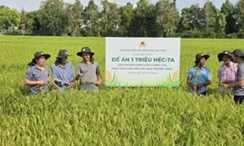 Bài 1: Người trồng lúa đã dám làm khác