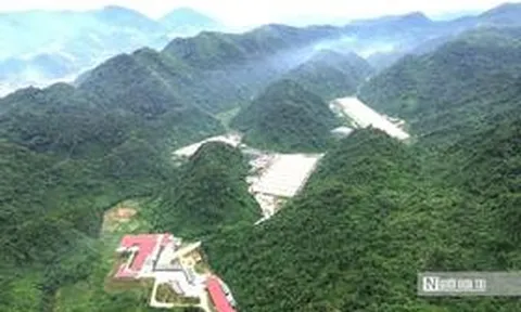 Vụ 5 công nhân tử vong tại trại lợn Dabaco: Khởi tố vụ án để điều tra